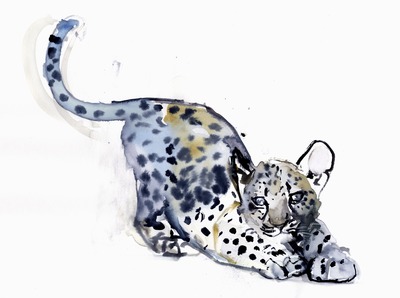 Stretching Cub (Arabian Leopard), 2008 (w/c on paper)